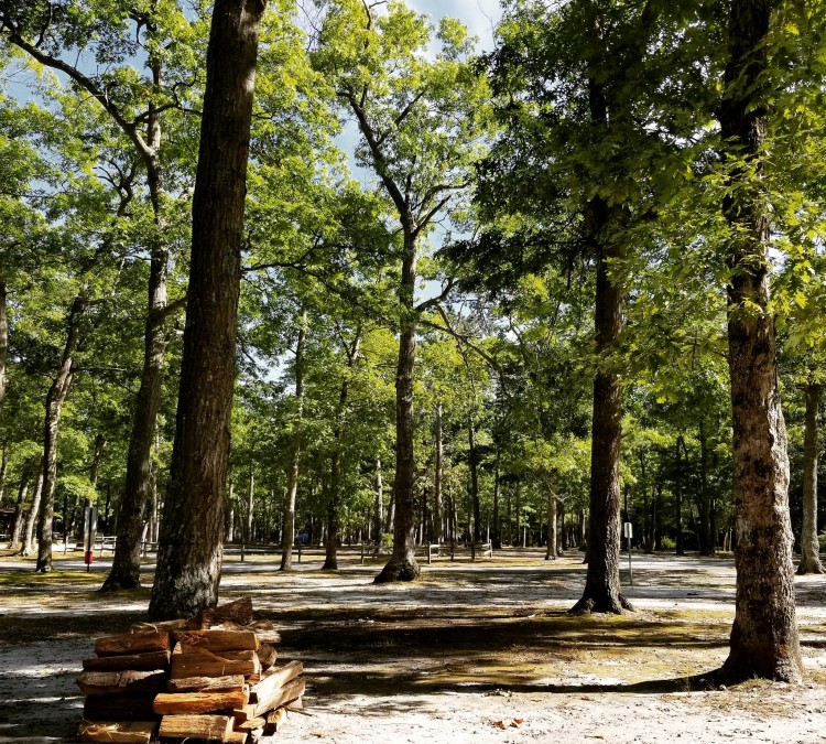 southaven-county-park-campground-photo